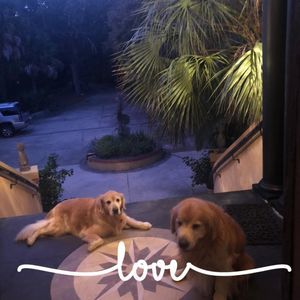 Meet your Posher, Katrina